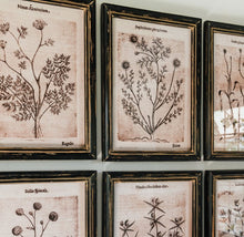 Load image into Gallery viewer, Set of 6 Botanical Leaf Prints