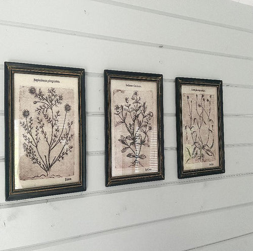 Set of 3 Botanical Leaf Prints