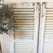 Load image into Gallery viewer, Pair of French vintage white wooden, chippy paint shutters on a wooden floor with a plant in the background.