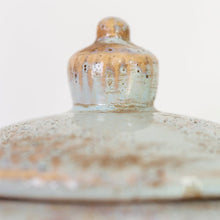 Load image into Gallery viewer, Rustic Jar with Lid