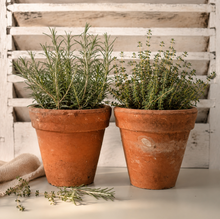Load image into Gallery viewer, Pair of Vintage Terracotta Plant Pots