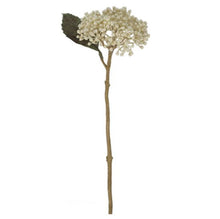 Load image into Gallery viewer, Set of 6 Faux Dried Hydrangea Berry Sprays – Cream