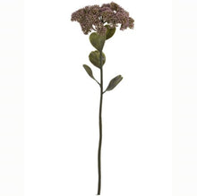 Load image into Gallery viewer, Set of 6 Faux Sedum (Stonecrop) Sprays – Mauve